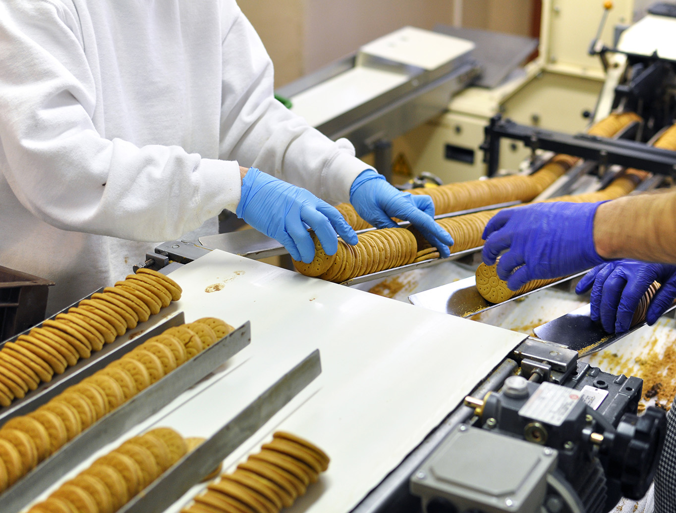 sorting out the biscuits
